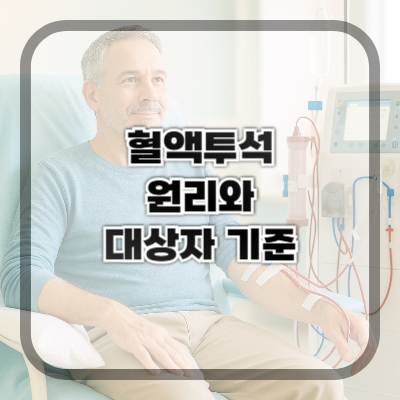 혈액투석이란? 원리와 대상자 기준 완전 정리