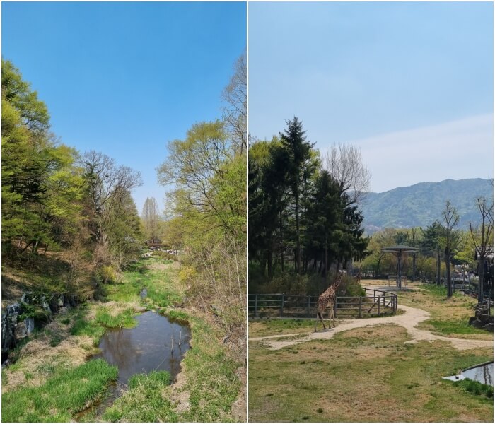 과천서울대공원 동물원