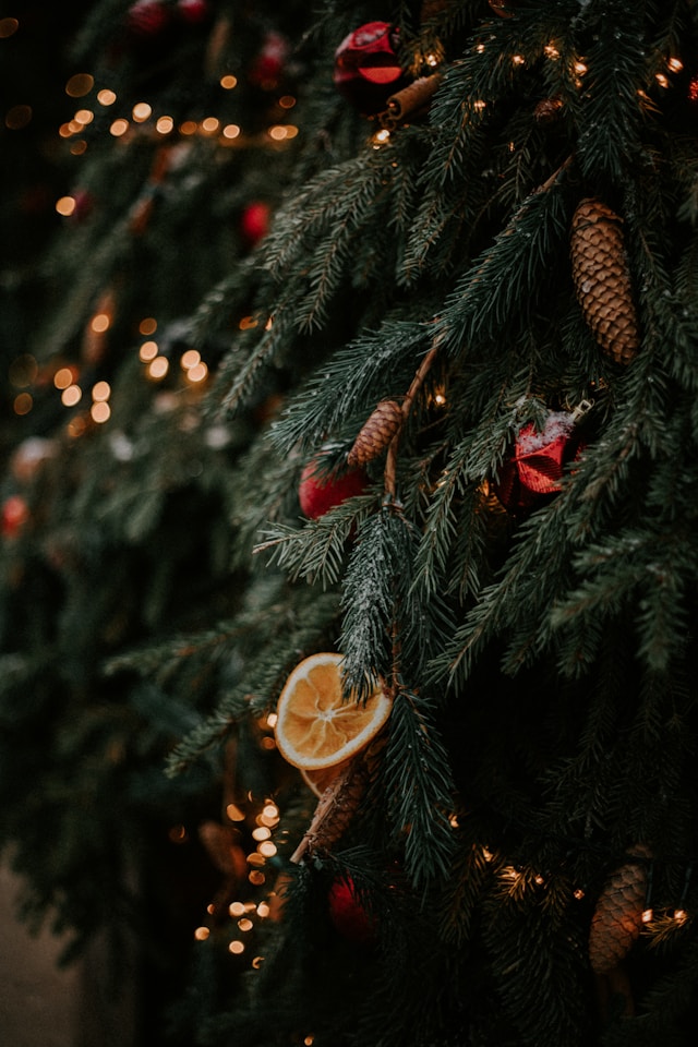 겨울 필수템 온풍기&middot;히터 크리스마스 선물 이것만 알면 끝