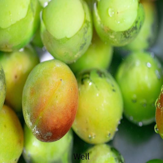 카카두플럼 기미크림