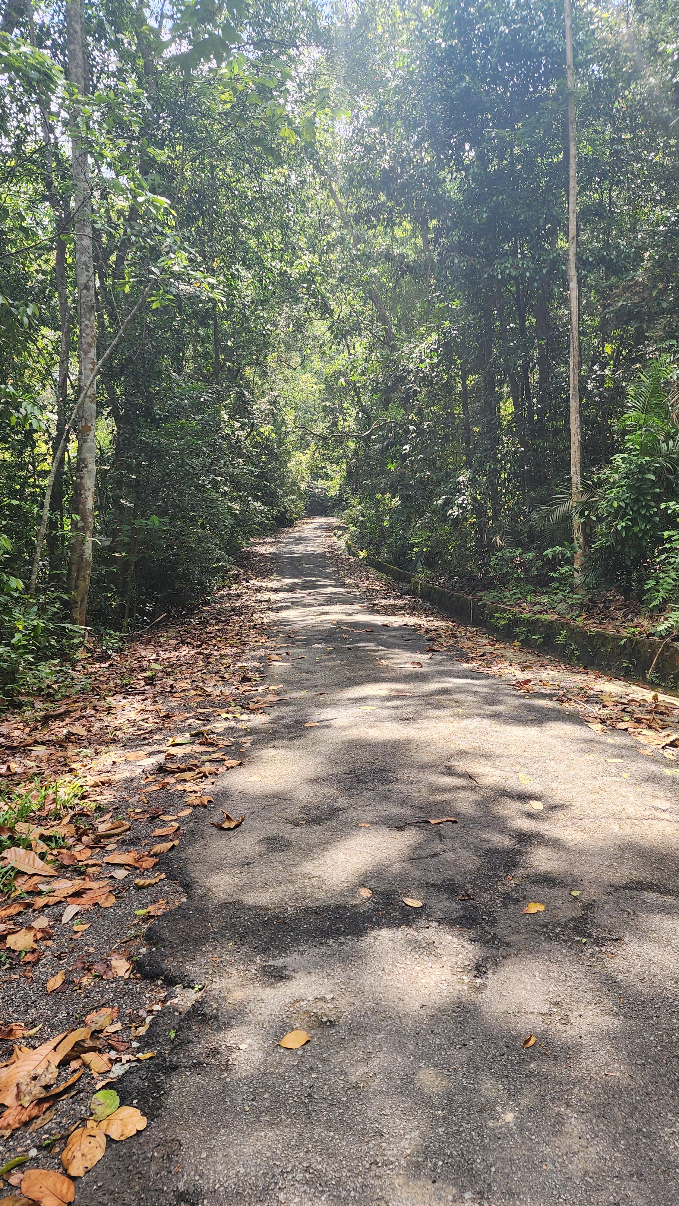 Gunung Pulai safe route
