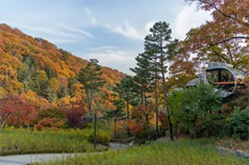 단풍여행