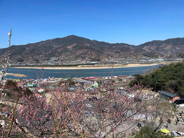 24년 광양 매화 축제 일정 요금 주차