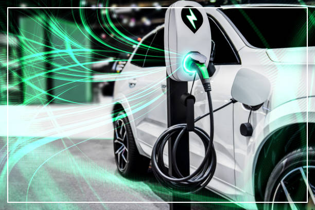 전기차 무상점검