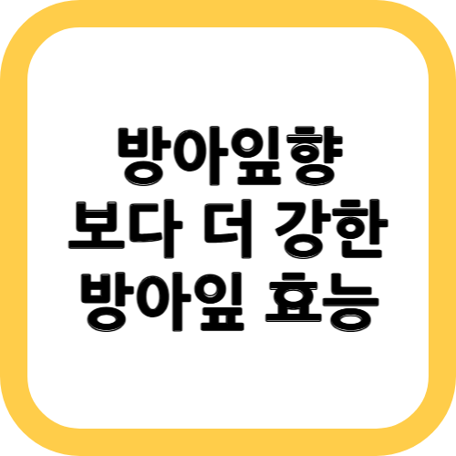 방아잎 효능