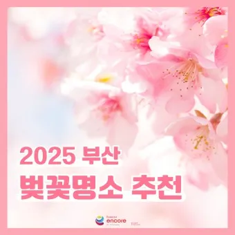 벚꽃 명소 추천 축제 유명한곳_23