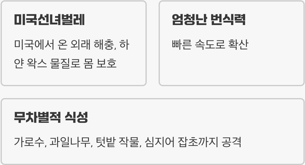1. 솜사탕 벌레, 정체가 뭔가요?