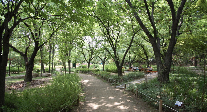 관악산공원 야외식물원 이미지