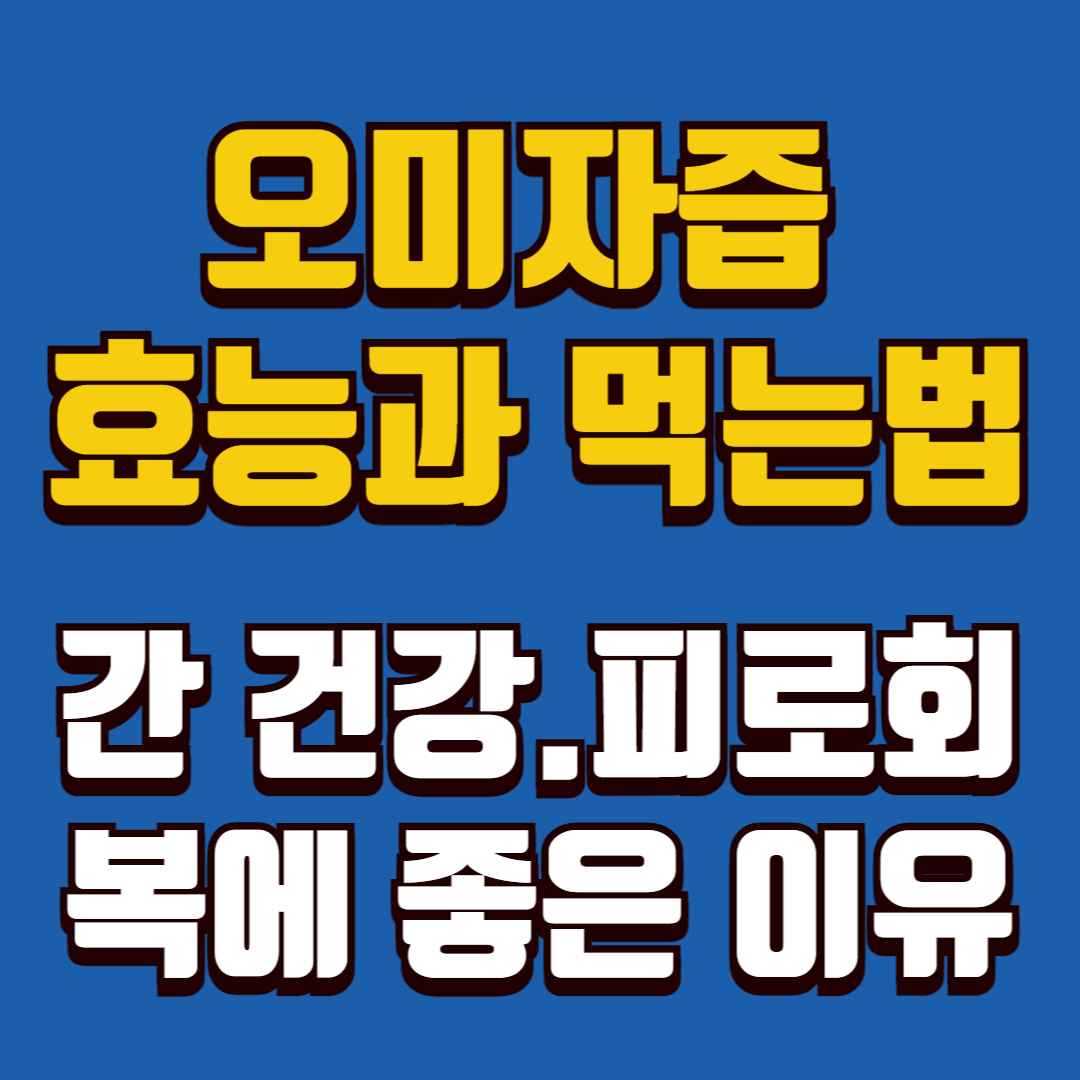 오미자즙-효능과-먹는법