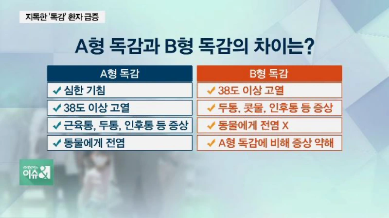 A형과 B형 독감의 차이점