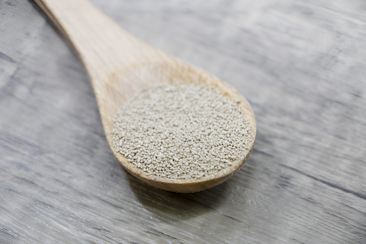 테프효소를-담은-숟가락