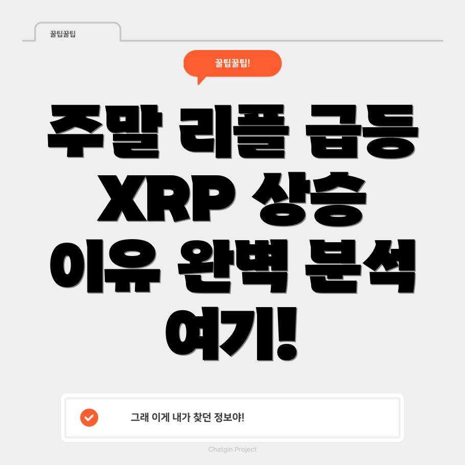 리플 시세