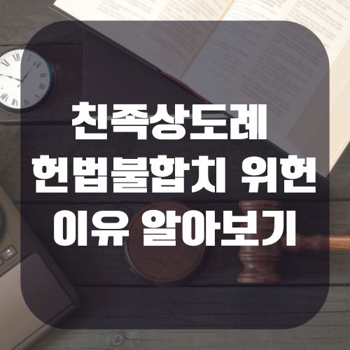 친족상도례 헌법불합치 위헌 이유