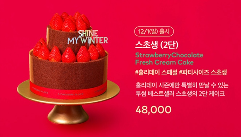 투썸플레이스 크리스마스 케이크 사전예약
