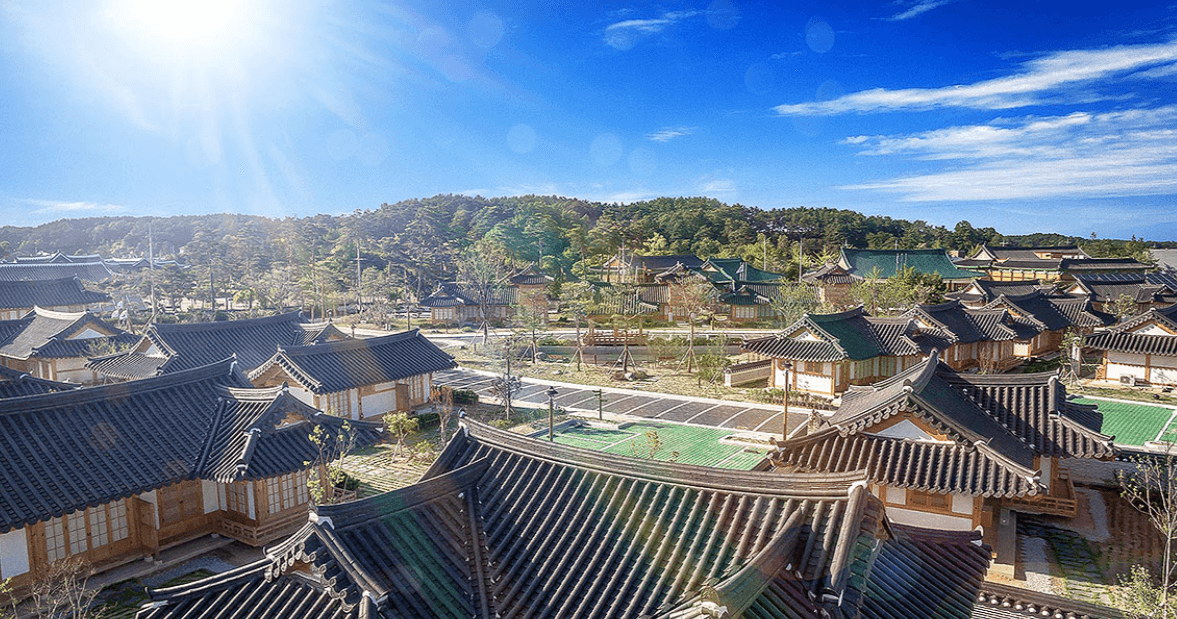 처음 가도 걱정 없는 강릉 여행 동선&코스 총정리 관련사진