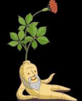 인삼-사진1