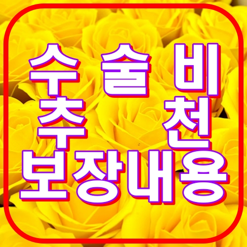 수술비추천 보장내용