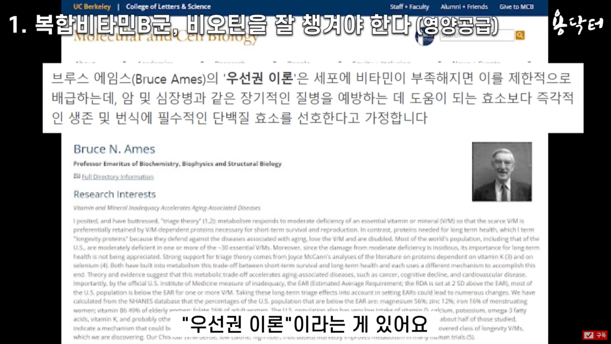 복합비타민 B군 필요