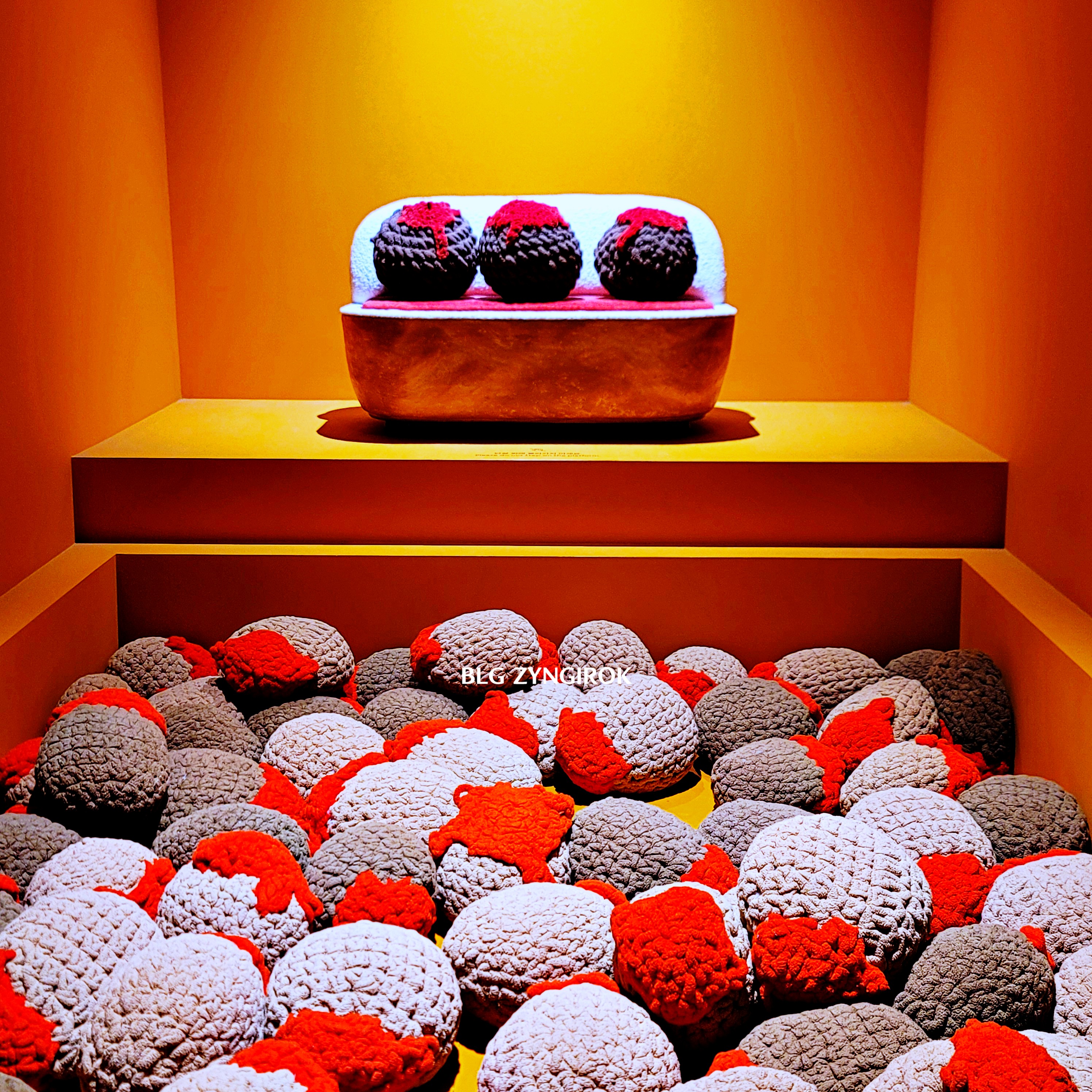 Room for Wonder : KAMBER CARROLL - 작품 모습이다.