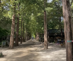 가족과함께할국내여행지