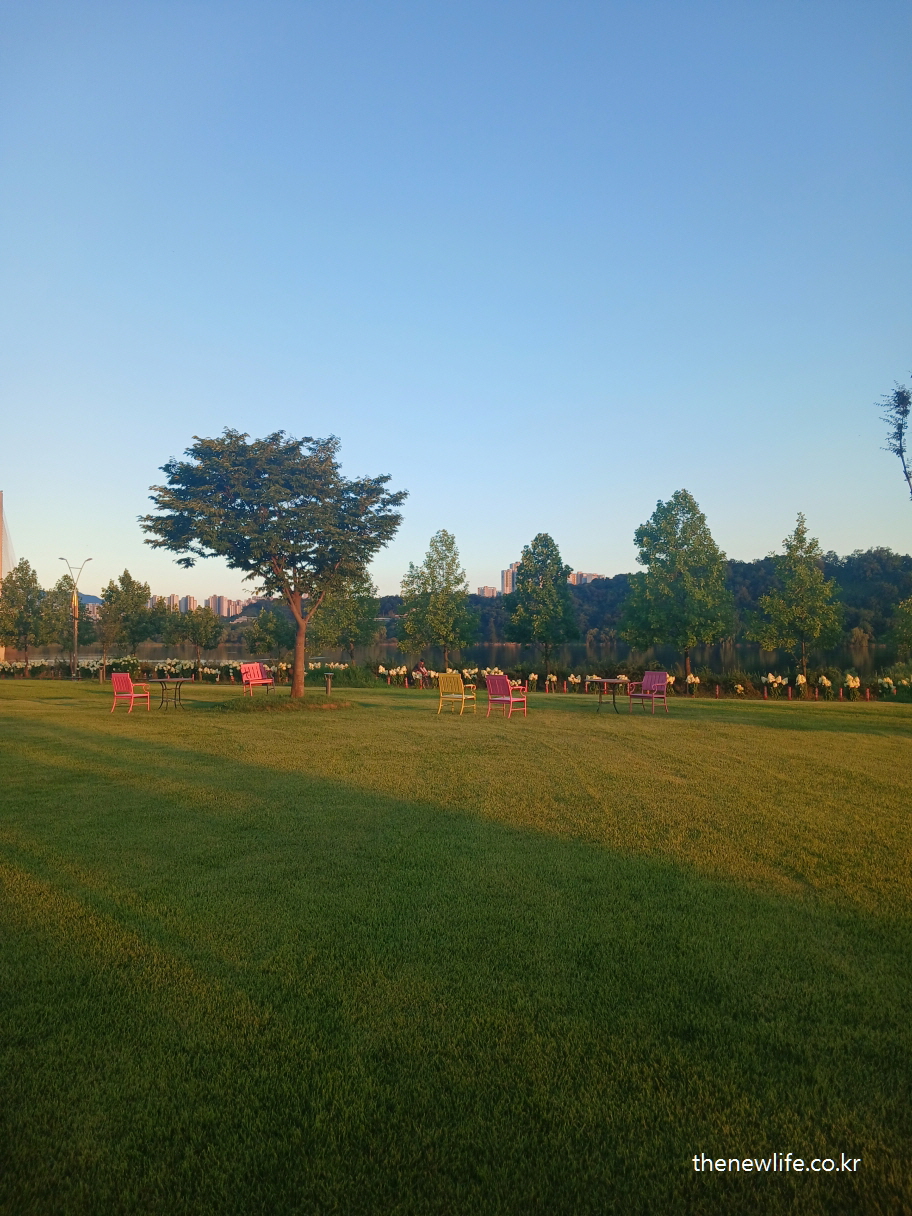 Guri Hangang Park lawn and chairs under evening light, ideal for experiencing the benefits of barefoot earthing/저녁 햇살 속 구리 한강시민공원의 잔디밭과 벤치 – 잔디밭 어싱 효과를 느끼기에 좋은 장소