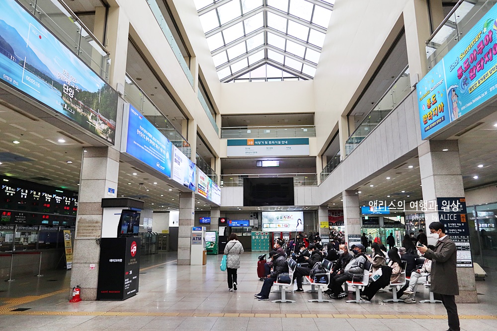 부산 - 경주 시외버스, 고속버스 차이, 터미널 위치