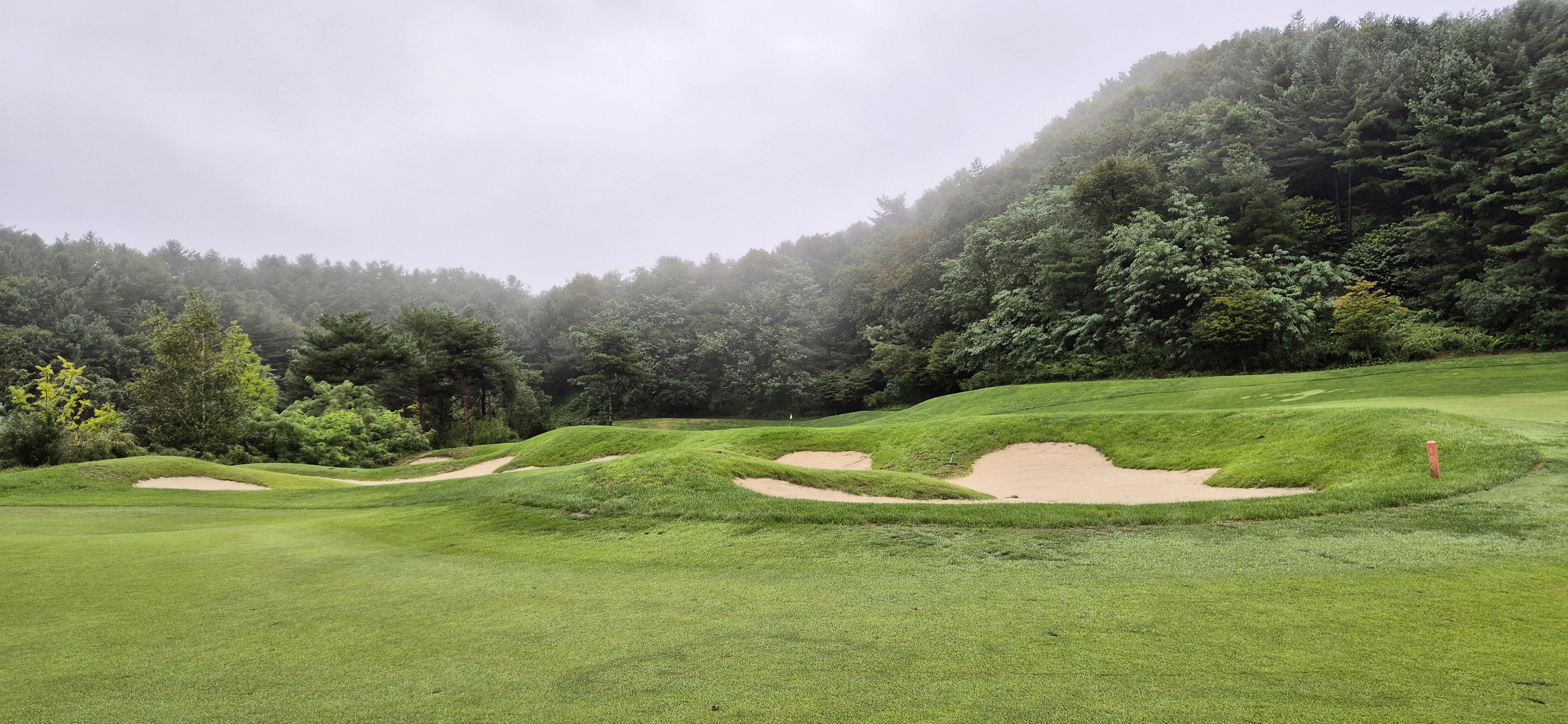 더플레이어스cc