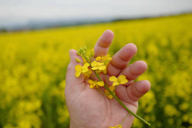 한국형 슬로우 라이프의 핵심은 &lsquo;관찰하는 눈&rsquo;이다