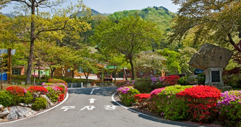 성주산자연휴양림