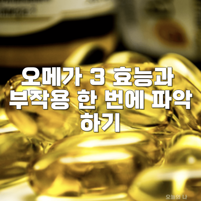 오메가 3 지방산