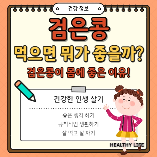 검은콩 효능 검은콩두유 검은콩차 영양 성분