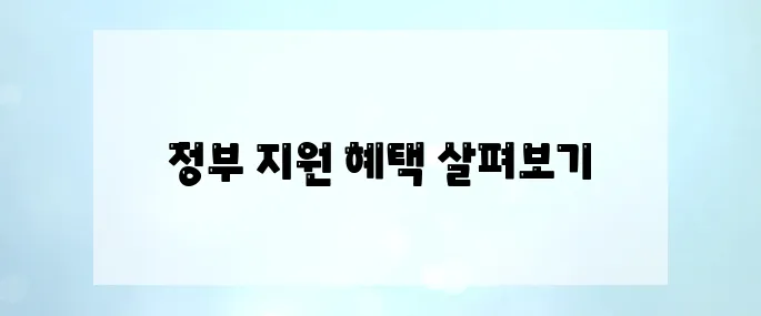 정부지원으로 우리아이 키우기! 아동수당부터 지원금 총정리
