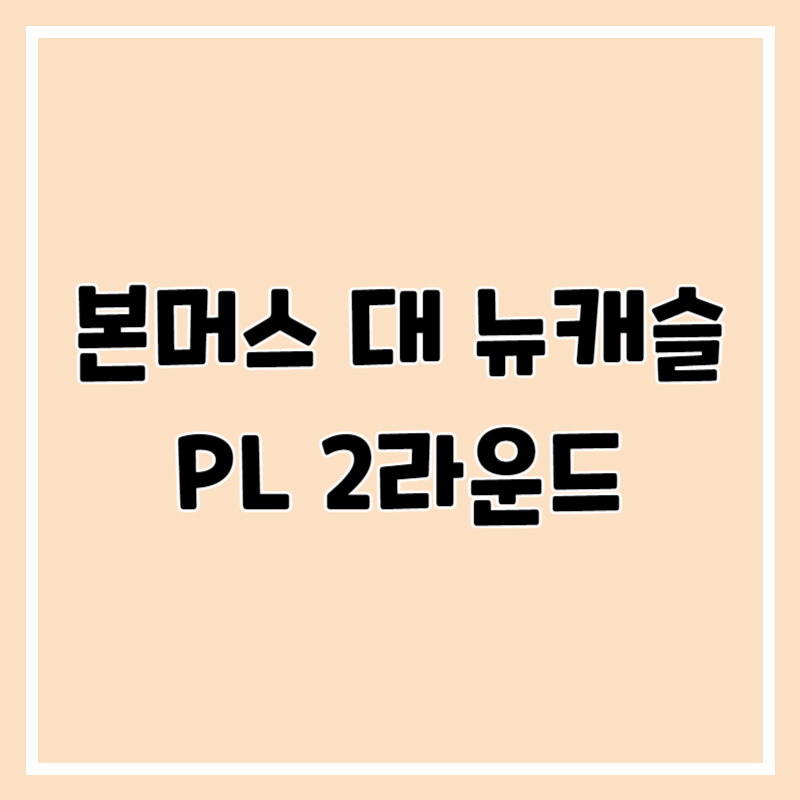 본머스 대 뉴캐슬