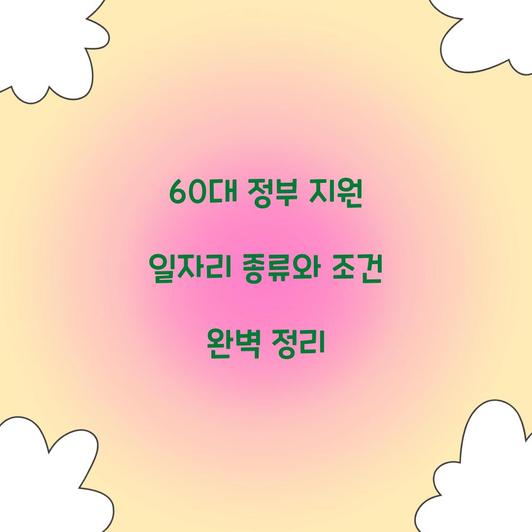 60대 정부 지원 일자리