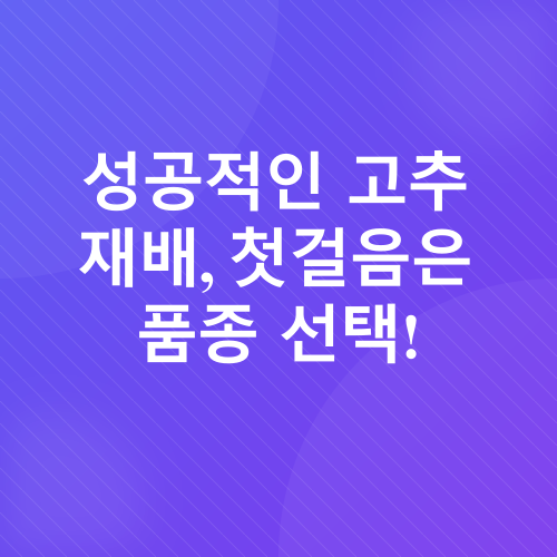 베란다 고추 재배_2
