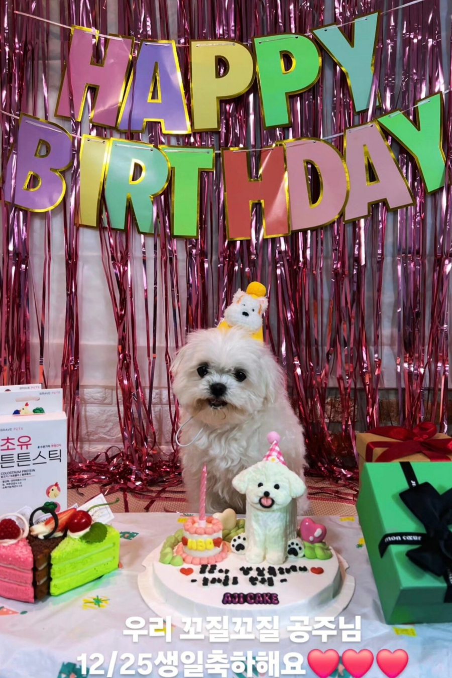 배우 구성환 꽃분이