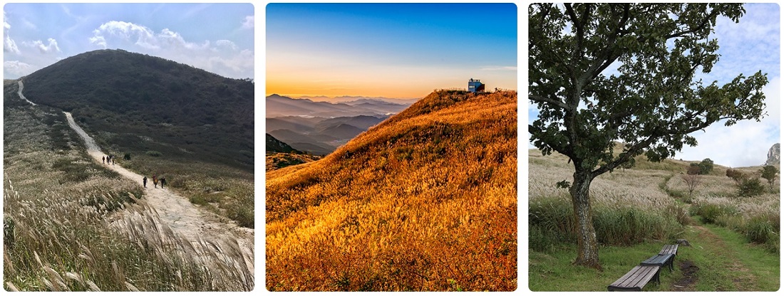 황매산 억새축제