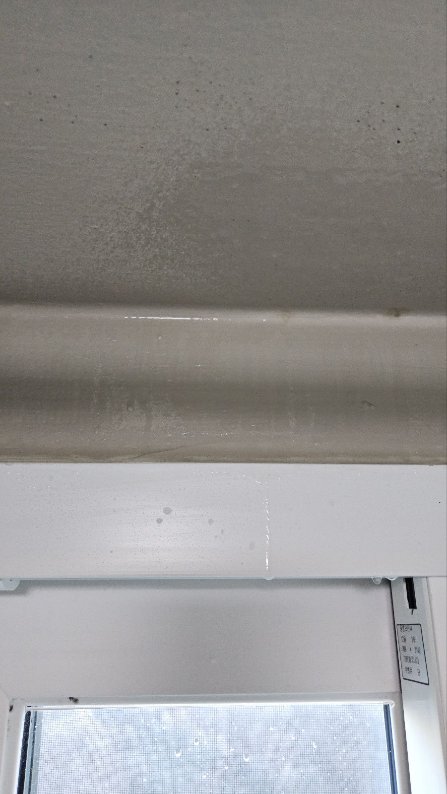 세탁실 곰팡이 제거|닥터클린 곰팡이제거제/방지제 내돈내산 사용기