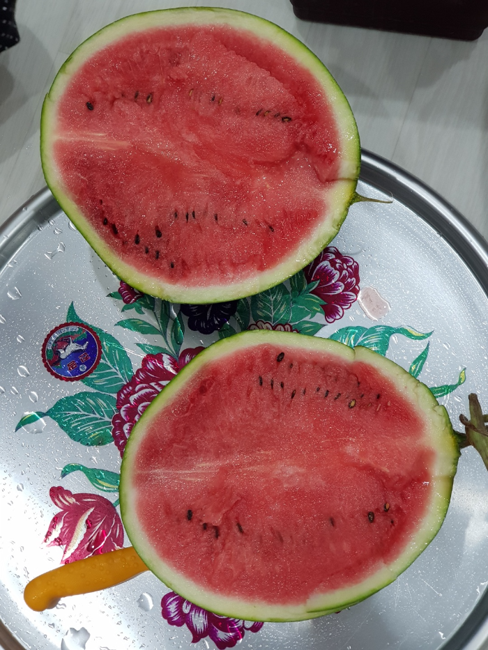 여름 제철 과일 : 수박