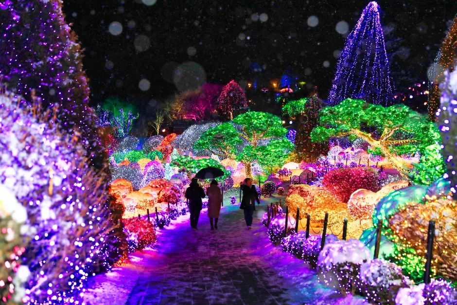 아침고요수목원 입장료 근처 맛집 펜션 추천_2