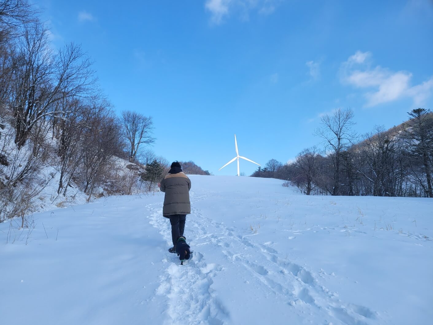 반려견 산책로
