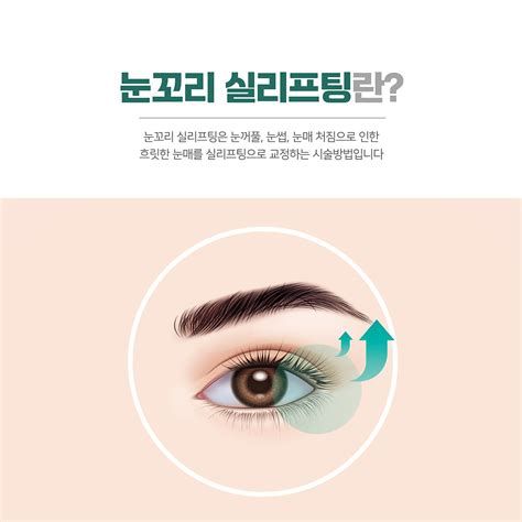 눈꼬리 내리기