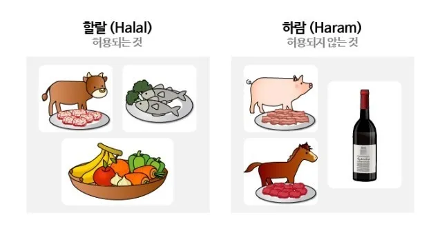 역사속의 미스터리 무슬림이 돼지고기 먹지 않는 이유_5