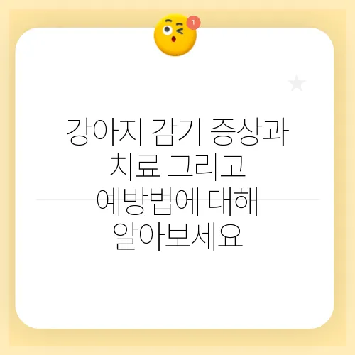 강아지 감기 증상과 치료 그리고 예방법에 대해 알아보세요