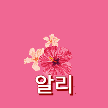 알리익스프레스
