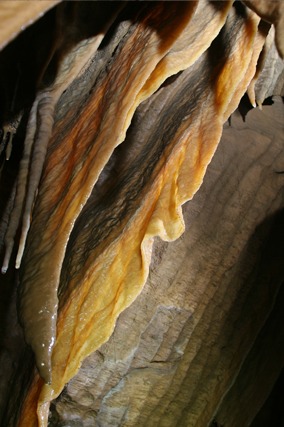 평창 백룡동굴 예약 방법