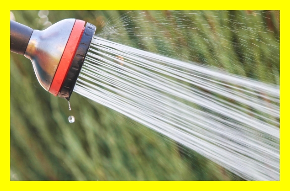 오션월드운영정보&amp;#44; 오션월드문닫는시간&amp;#44; 오션월드개장시간&amp;#44; 오션월드유아락커&amp;#44; 오션월드유모차&amp;#44; 오션월드아기입장&amp;#44; 오션월드기온&amp;#44; 오션월드날씨&amp;#44; 오션월드기상상황&amp;#44; 오션월드혼잡도&amp;#44; 오션월드인기날짜&amp;#44; 오션월드성수기요금