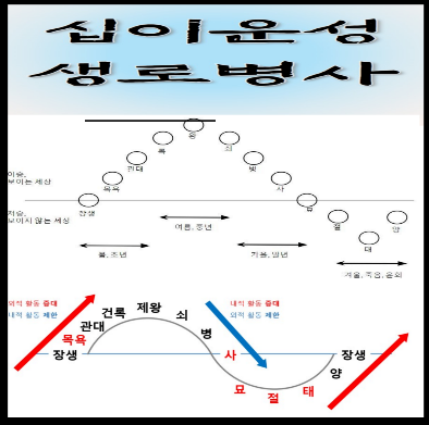 십이운성의 해설