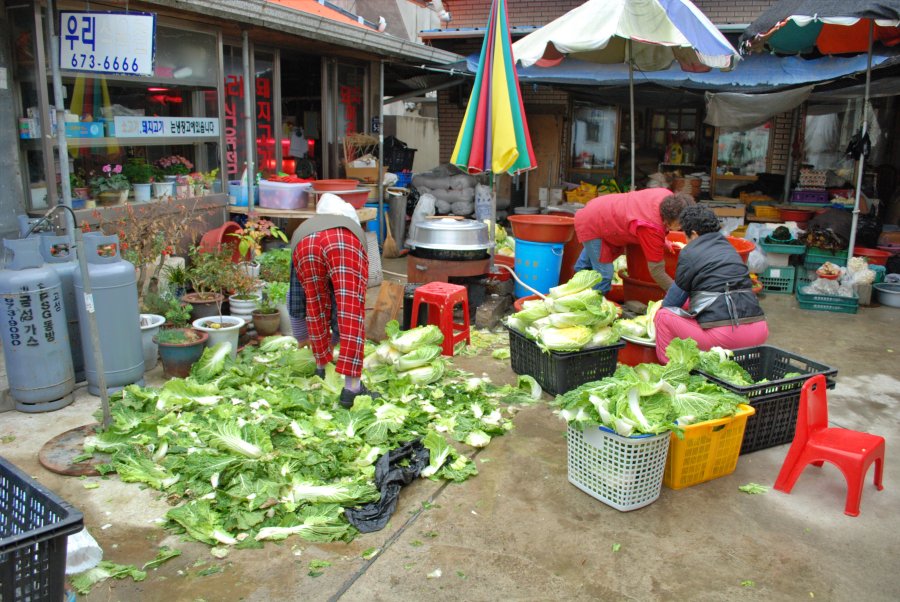 고성군 회화면 배둔리 마을 풍경