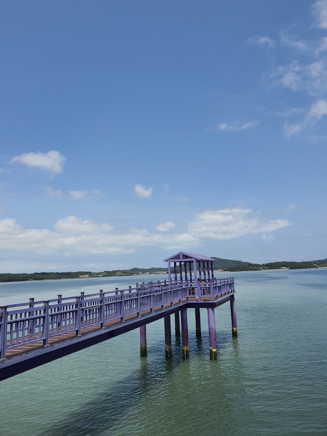 퍼플섬 반월도 박지도 여행